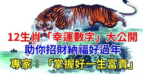 12生肖幸運數字|五行命理！12生肖的幸運數字和顏色